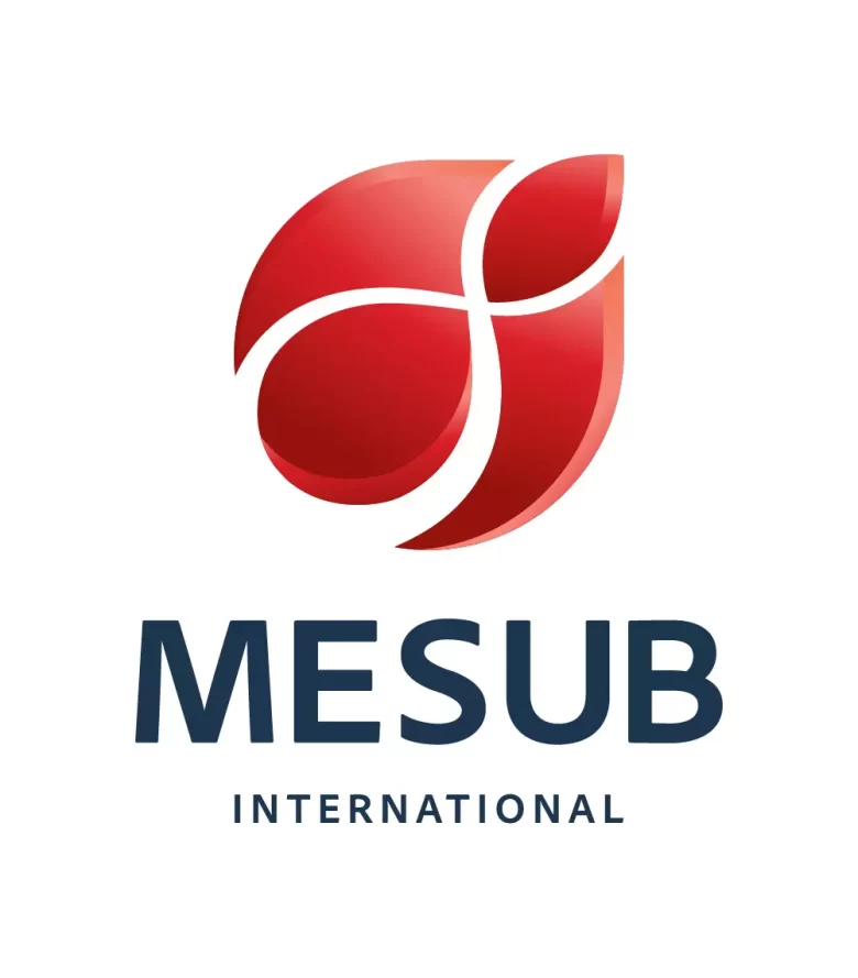 mesub travel